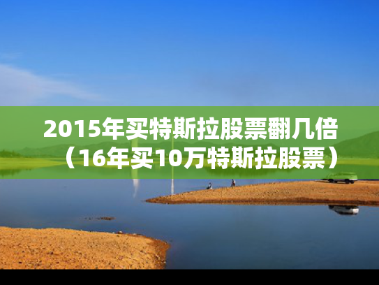 2015年买特斯拉股票翻几倍（16年买10万特斯拉股票）