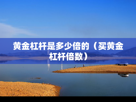 黄金杠杆是多少倍的（买黄金杠杆倍数）