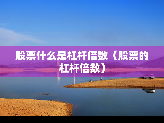 股票什么是杠杆倍数（股票的杠杆倍数）
