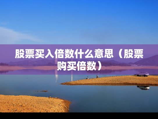 股票买入倍数什么意思（股票购买倍数）