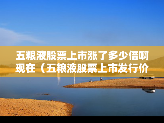 五粮液股票上市涨了多少倍啊现在（五粮液股票上市发行价格多少）