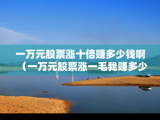 一万元股票涨十倍赚多少钱啊（一万元股票涨一毛我赚多少）
