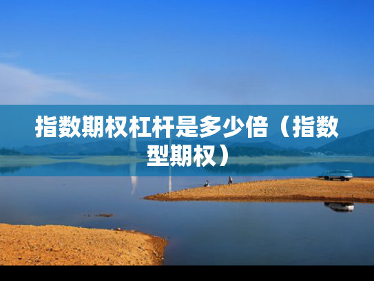 指数期权杠杆是多少倍（指数型期权）