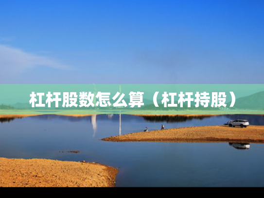 杠杆股数怎么算（杠杆持股）