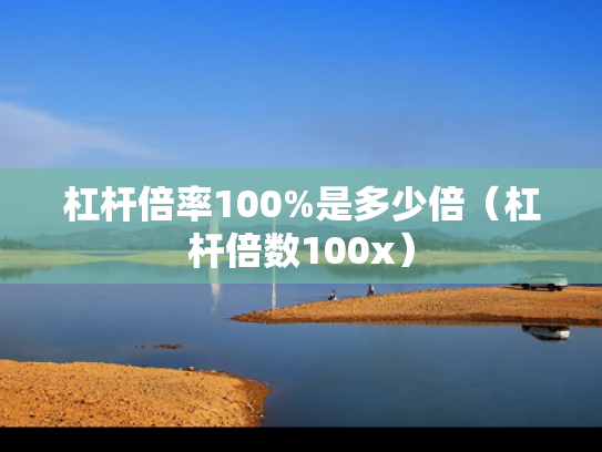 杠杆倍率100%是多少倍（杠杆倍数100x）