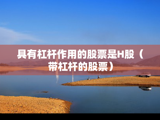 具有杠杆作用的股票是H股（带杠杆的股票）