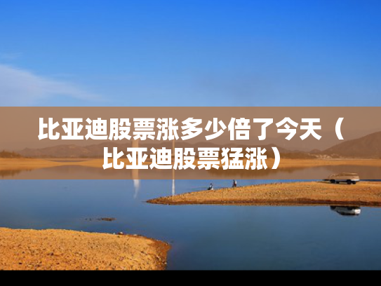 比亚迪股票涨多少倍了今天（比亚迪股票猛涨）