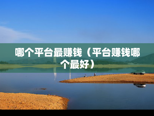 哪个平台最赚钱（平台赚钱哪个最好）