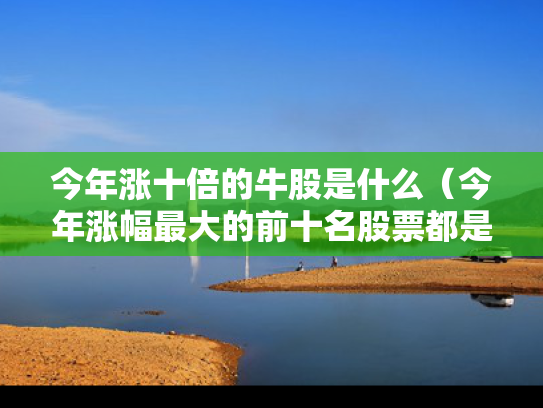 今年涨十倍的牛股是什么（今年涨幅最大的前十名股票都是什么）