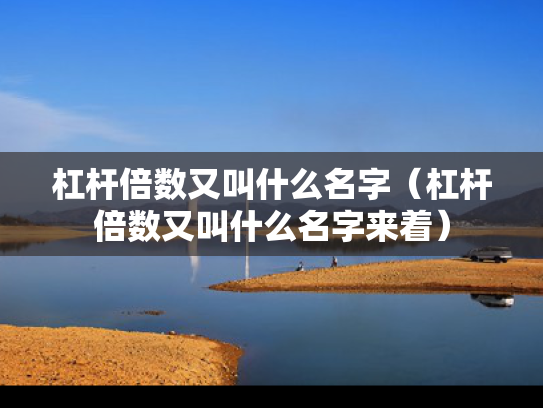 杠杆倍数又叫什么名字（杠杆倍数又叫什么名字来着）