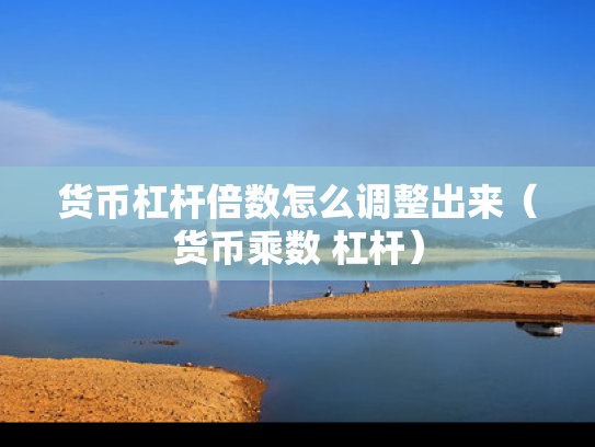 货币杠杆倍数怎么调整出来（货币乘数 杠杆）