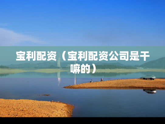宝利配资（宝利配资公司是干嘛的）