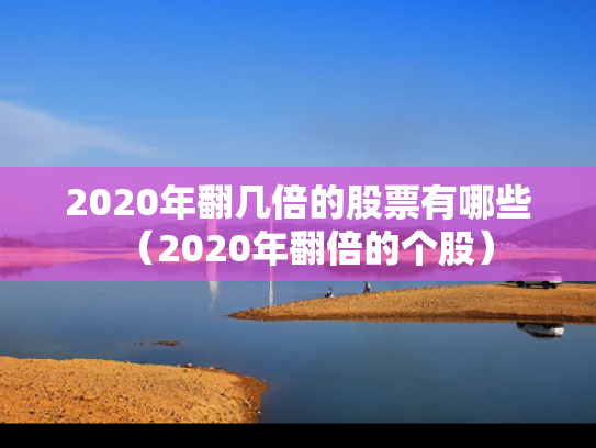 2020年翻几倍的股票有哪些（2020年翻倍的个股）