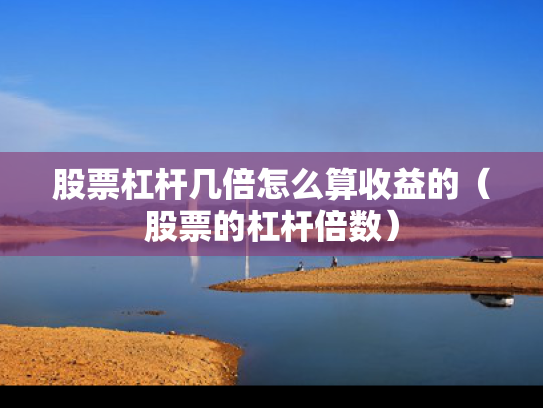 股票杠杆几倍怎么算收益的（股票的杠杆倍数）