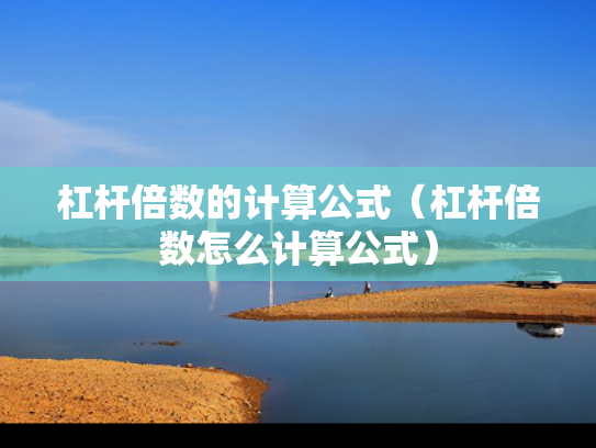 杠杆倍数的计算公式（杠杆倍数怎么计算公式）