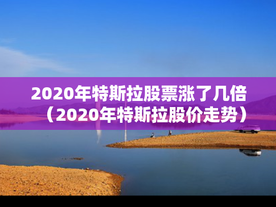 2020年特斯拉股票涨了几倍（2020年特斯拉股价走势）