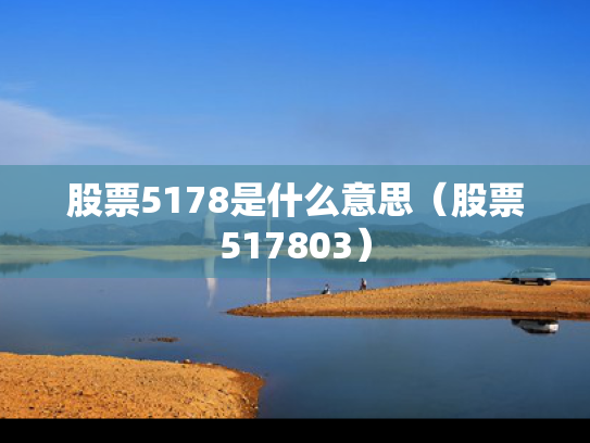 股票5178是什么意思（股票517803）