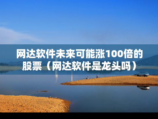 网达软件未来可能涨100倍的股票（网达软件是龙头吗）