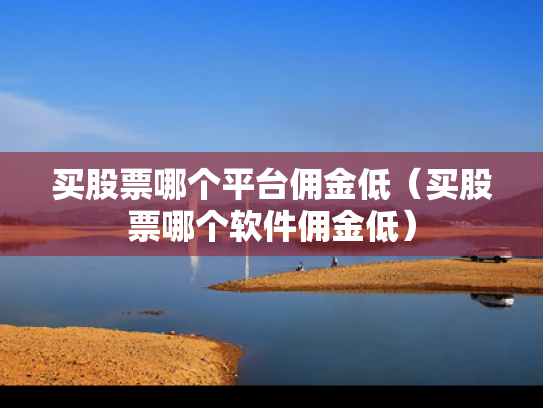 买股票哪个平台佣金低（买股票哪个软件佣金低）