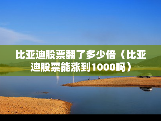 比亚迪股票翻了多少倍（比亚迪股票能涨到1000吗）
