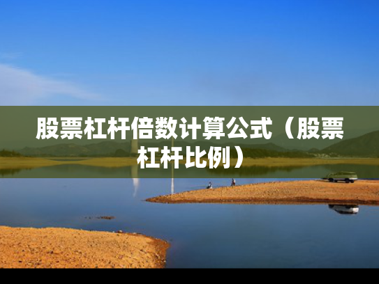 股票杠杆倍数计算公式（股票杠杆比例）