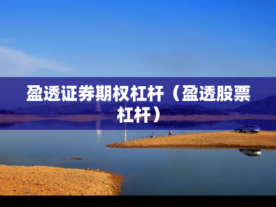 盈透证券期权杠杆（盈透股票杠杆）