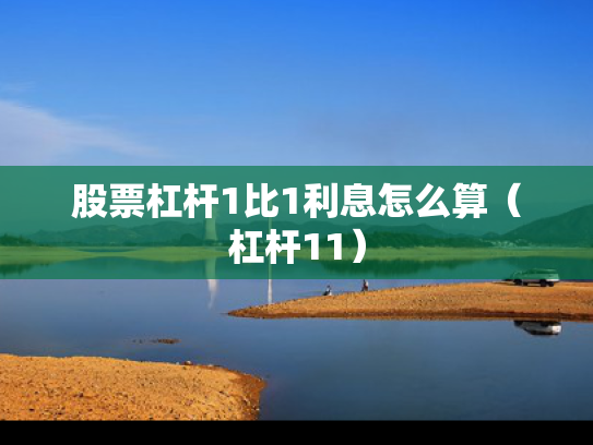 股票杠杆1比1利息怎么算（杠杆11）
