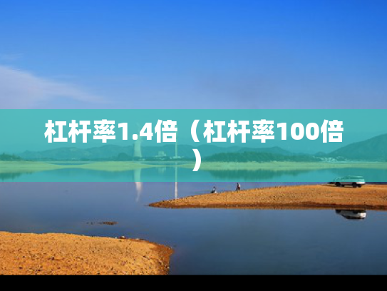 杠杆率1.4倍（杠杆率100倍）
