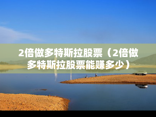 2倍做多特斯拉股票（2倍做多特斯拉股票能赚多少）