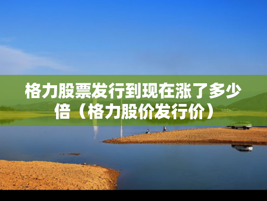 格力股票发行到现在涨了多少倍（格力股价发行价）