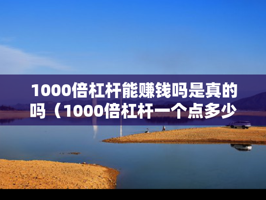 1000倍杠杆能赚钱吗是真的吗（1000倍杠杆一个点多少钱）