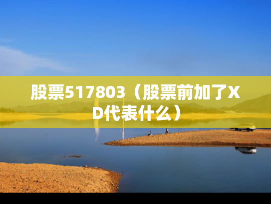 股票517803（股票前加了XD代表什么）