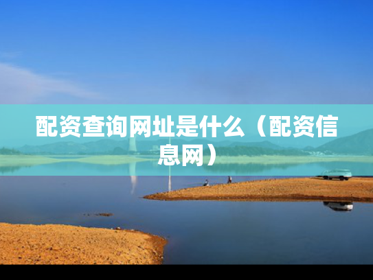 配资查询网址是什么（配资信息网）