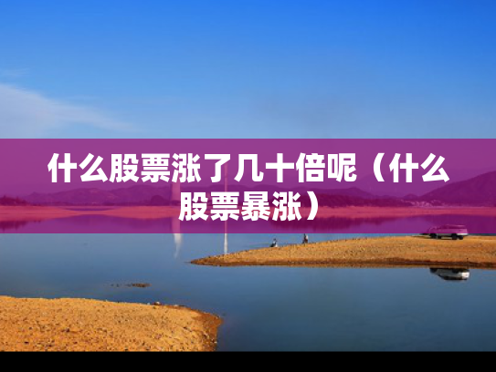 什么股票涨了几十倍呢（什么股票暴涨）