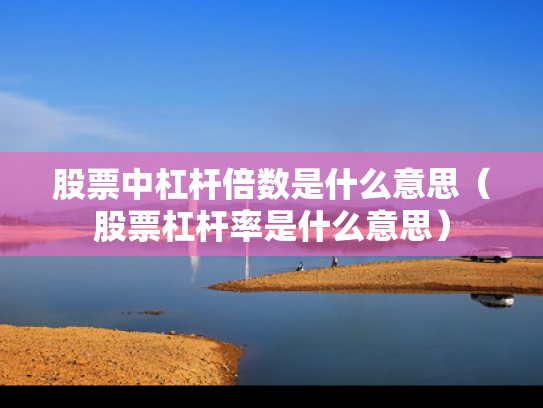 股票中杠杆倍数是什么意思（股票杠杆率是什么意思）