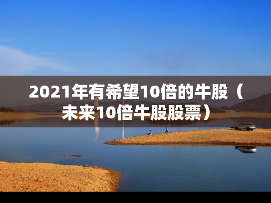 2021年有希望10倍的牛股（未来10倍牛股股票）