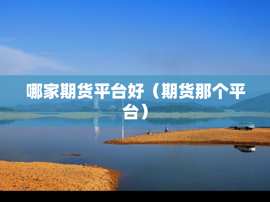 哪家期货平台好（期货那个平台）