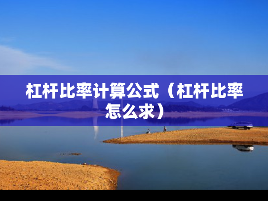 杠杆比率计算公式（杠杆比率怎么求）