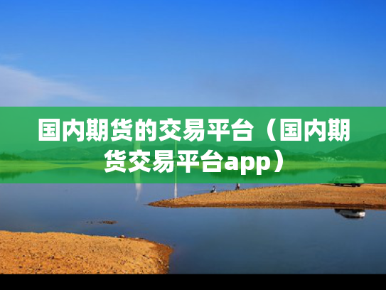 国内期货的交易平台（国内期货交易平台app）