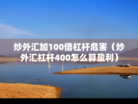 炒外汇加100倍杠杆危害（炒外汇杠杆400怎么算盈利）