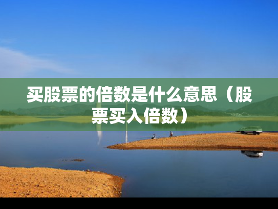 买股票的倍数是什么意思（股票买入倍数）