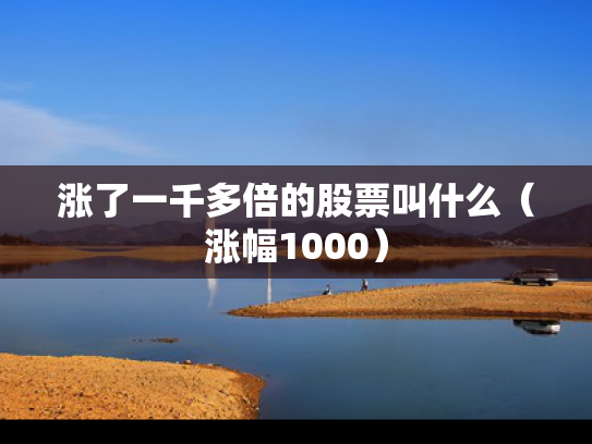 涨了一千多倍的股票叫什么（涨幅1000）