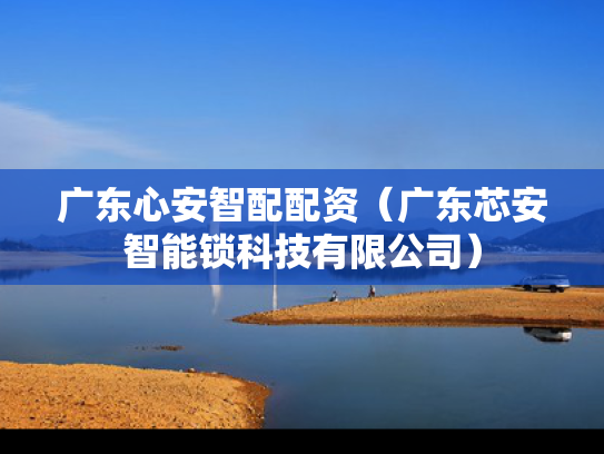 广东心安智配配资（广东芯安智能锁科技有限公司）