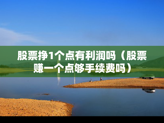 股票挣1个点有利润吗（股票赚一个点够手续费吗）