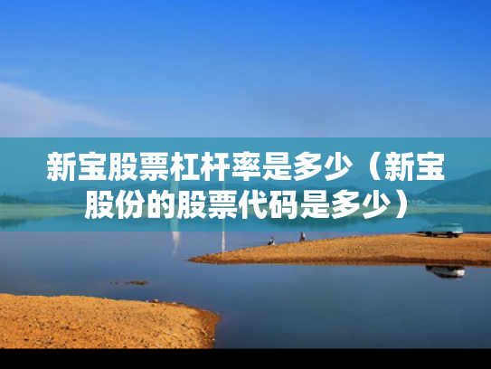 新宝股票杠杆率是多少（新宝股份的股票代码是多少）