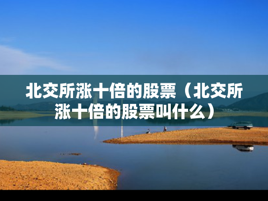 北交所涨十倍的股票（北交所涨十倍的股票叫什么）