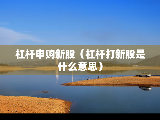 杠杆申购新股（杠杆打新股是什么意思）