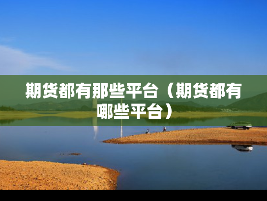 期货都有那些平台（期货都有哪些平台）