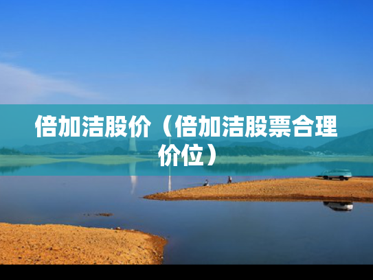 倍加洁股价（倍加洁股票合理价位）