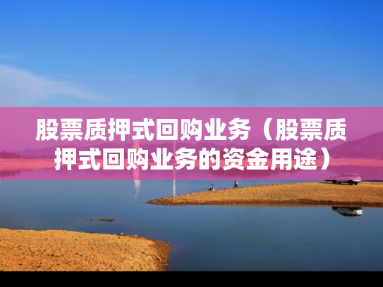 股票质押式回购业务（股票质押式回购业务的资金用途）